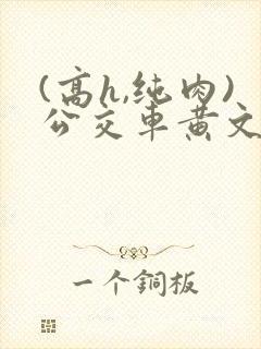 (高h,纯肉)公交车黄文