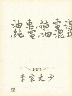 油车,插电混动,纯电,油混选哪个好
