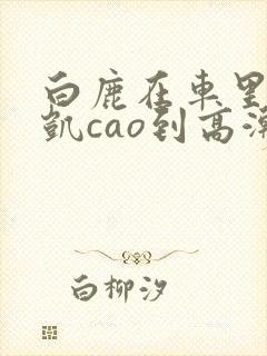 白鹿在车里被许凯cao到高潮小说