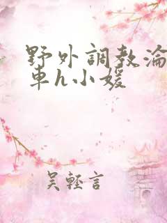 野外调教沦为公车h小媛