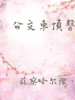 公交车顶臀