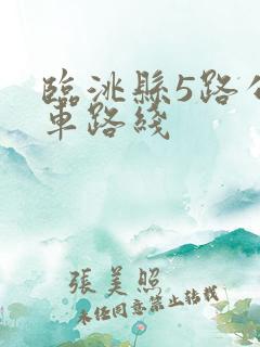 临洮县5路公交车路线