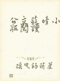 公交苏晴小说正版阅读