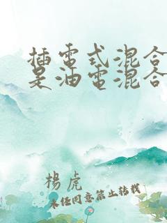 插电式混合动力是油电混合吗
