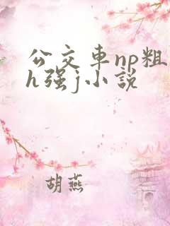 公交车np粗暴h强j小说