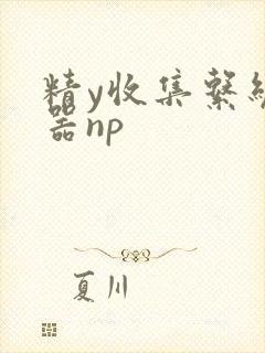 精y收集系统名器np