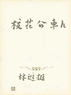 校花公车h