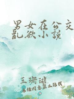 男女在公交车上乱欲小说