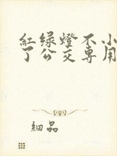 红绿灯不小心走了公交专用道