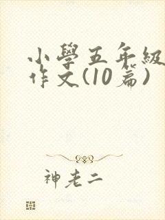 小学五年级英语作文(10篇)