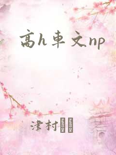 高h车文np