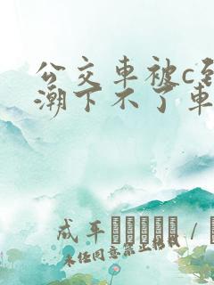 公交车被c到高潮下不了车小说