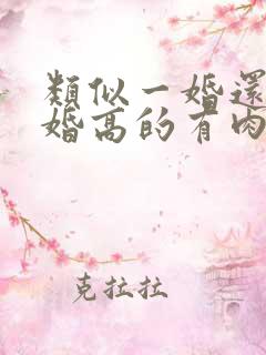 类似一婚还比一婚高的有肉的小说