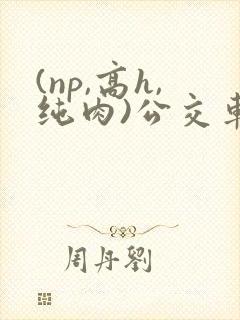 (np,高h,纯肉)公交车