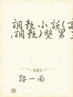 调教小说(高h,调教)双男主