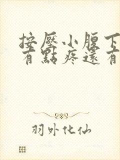 按压小腹下面会有点疼还有尿意