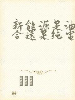 新能源是油电混合还是纯电