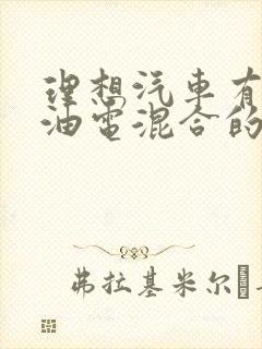 理想汽车有没有油电混合的