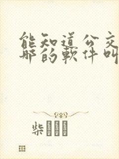 能知道公交车到哪的软件叫什么