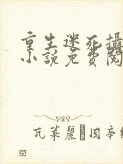 重生迷死摄政王小说免费阅读