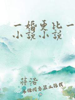 一婚更比一婚高小说小说