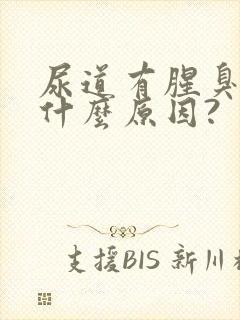 尿道有腥臭味是什么原因?