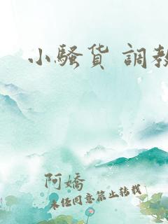 小骚货 调教