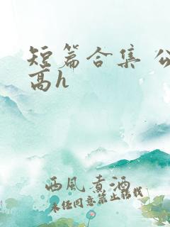 短篇合集 公车高h