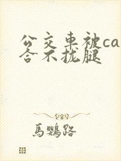 公交车被cao合不拢腿
