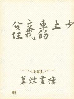 公交车上少妇握住我的