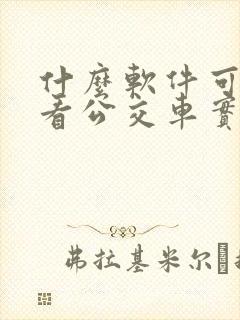 什么软件可以查看公交车实时位置