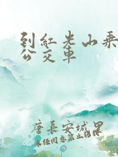 到红光山乘几路公交车