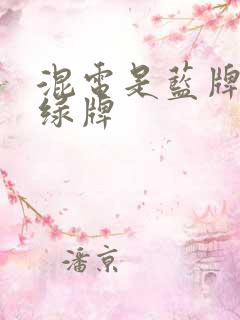 混电是蓝牌还是绿牌