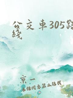 公交车305路线