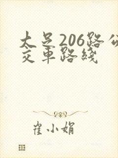 大足206路公交车路线