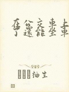 在公交车上高潮了还能坐车吗