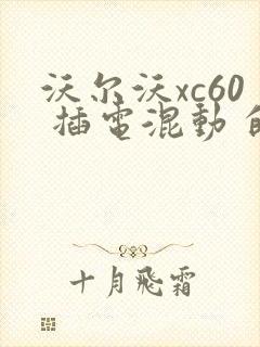 沃尔沃xc60 插电混动 的报价
