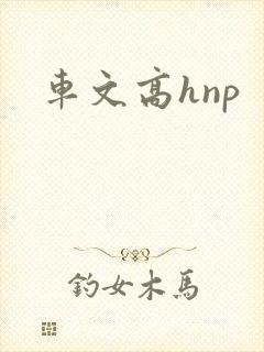 车文高hnp