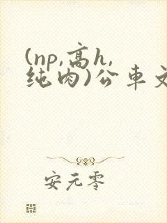 (np,高h,纯肉)公车文
