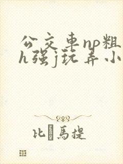 公交车np粗暴h强j玩弄小说