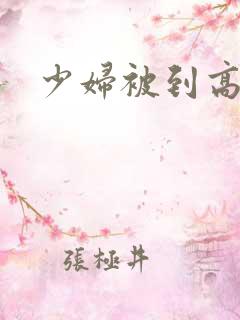 少妇被到高潮