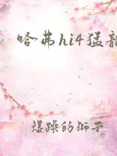 哈弗hi4猛龙