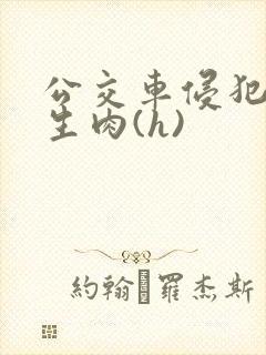 公交车侵犯小男生肉(h)