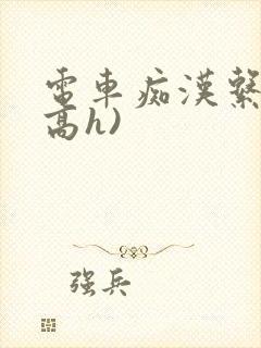 电车痴汉系列(高h)
