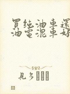 买纯油车还是买油电混车好