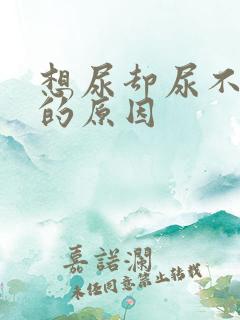 想尿却尿不出来的原因