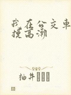 我在公交车上被摸高潮