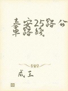 泰安25路公交车路线