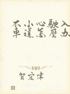 不小心驶入公交车道怎么办
