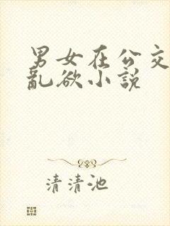 男女在公交车上乱欲小说